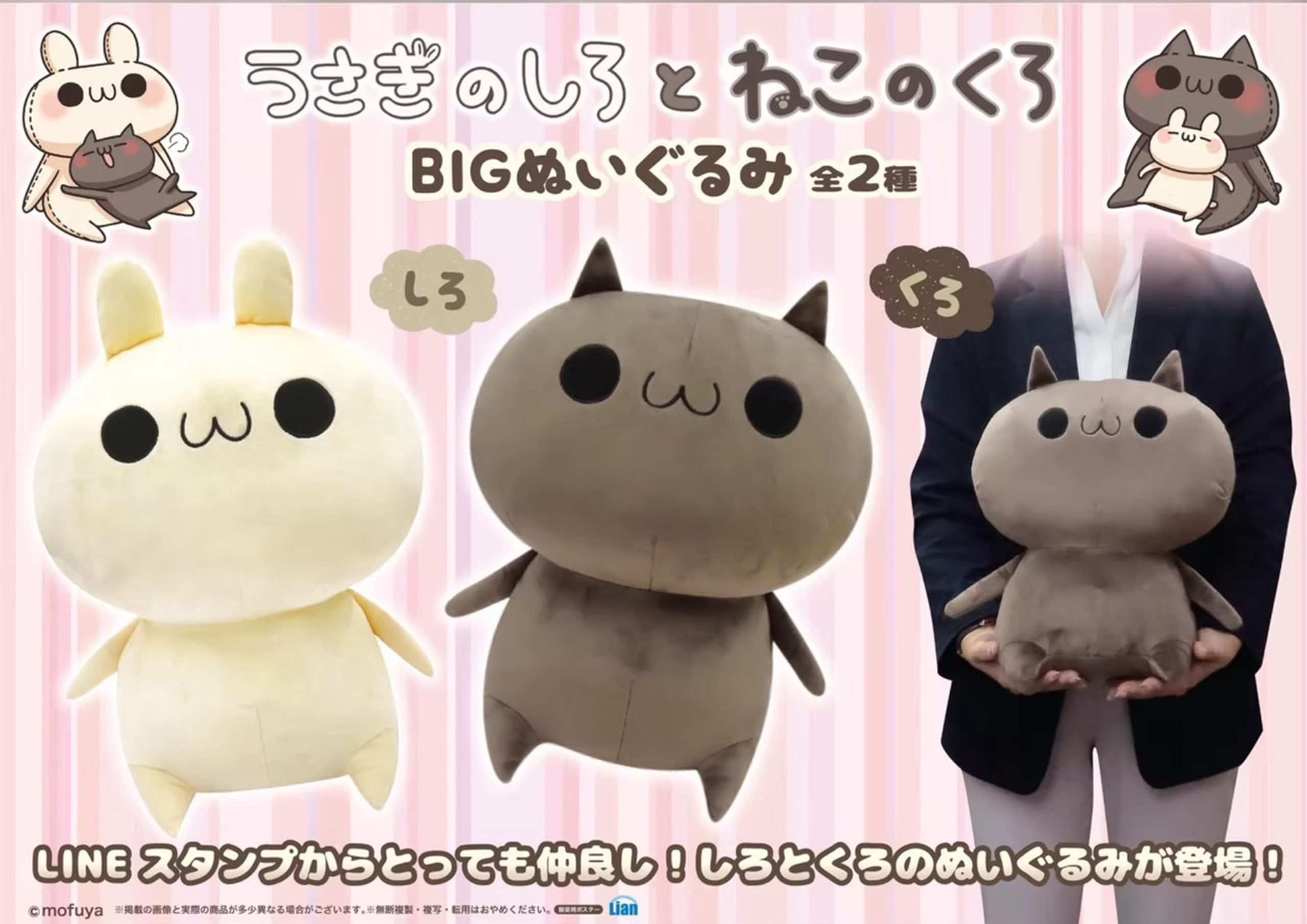 うさぎのしろとねこのくろ