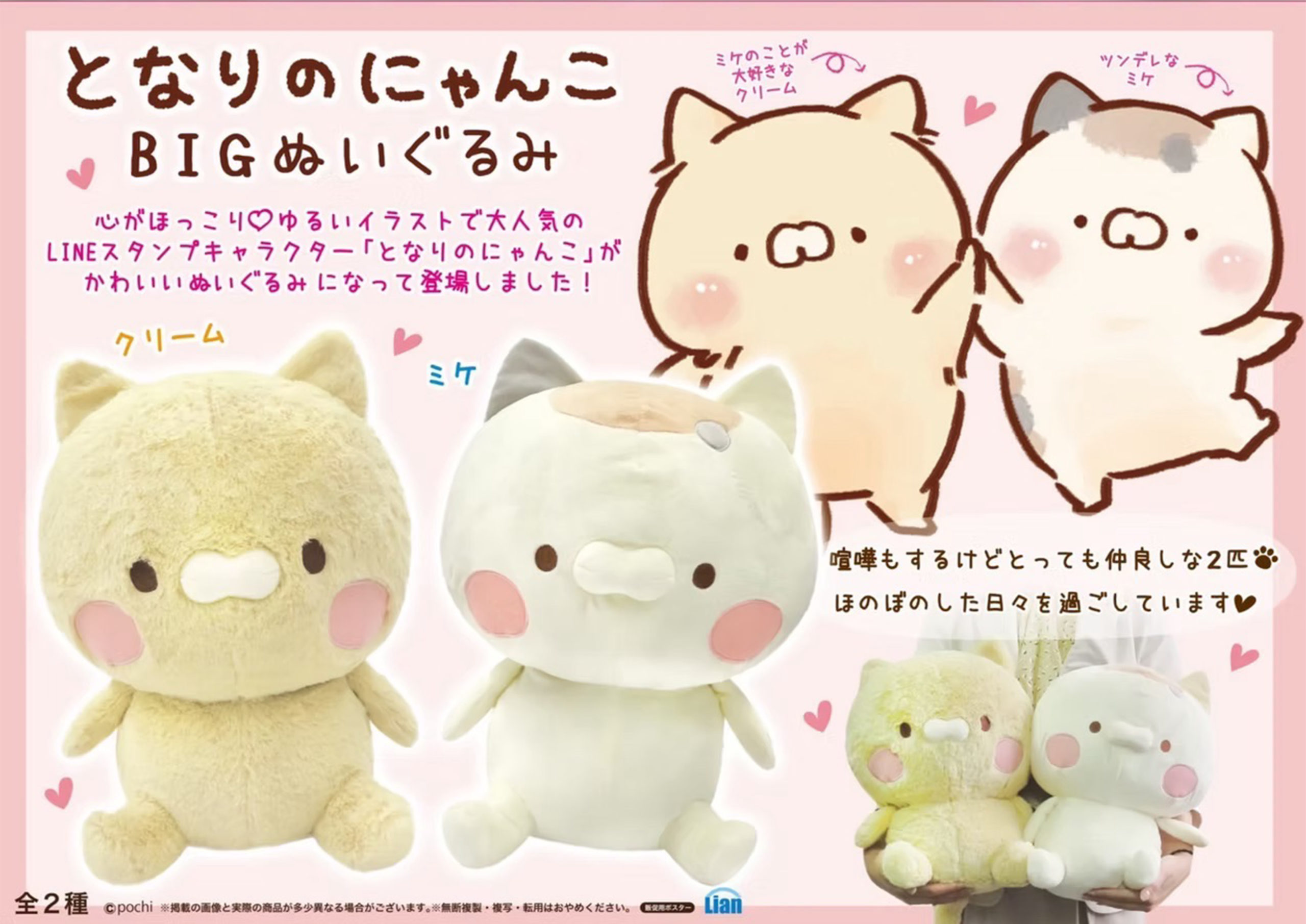 となりのにゃんこ
