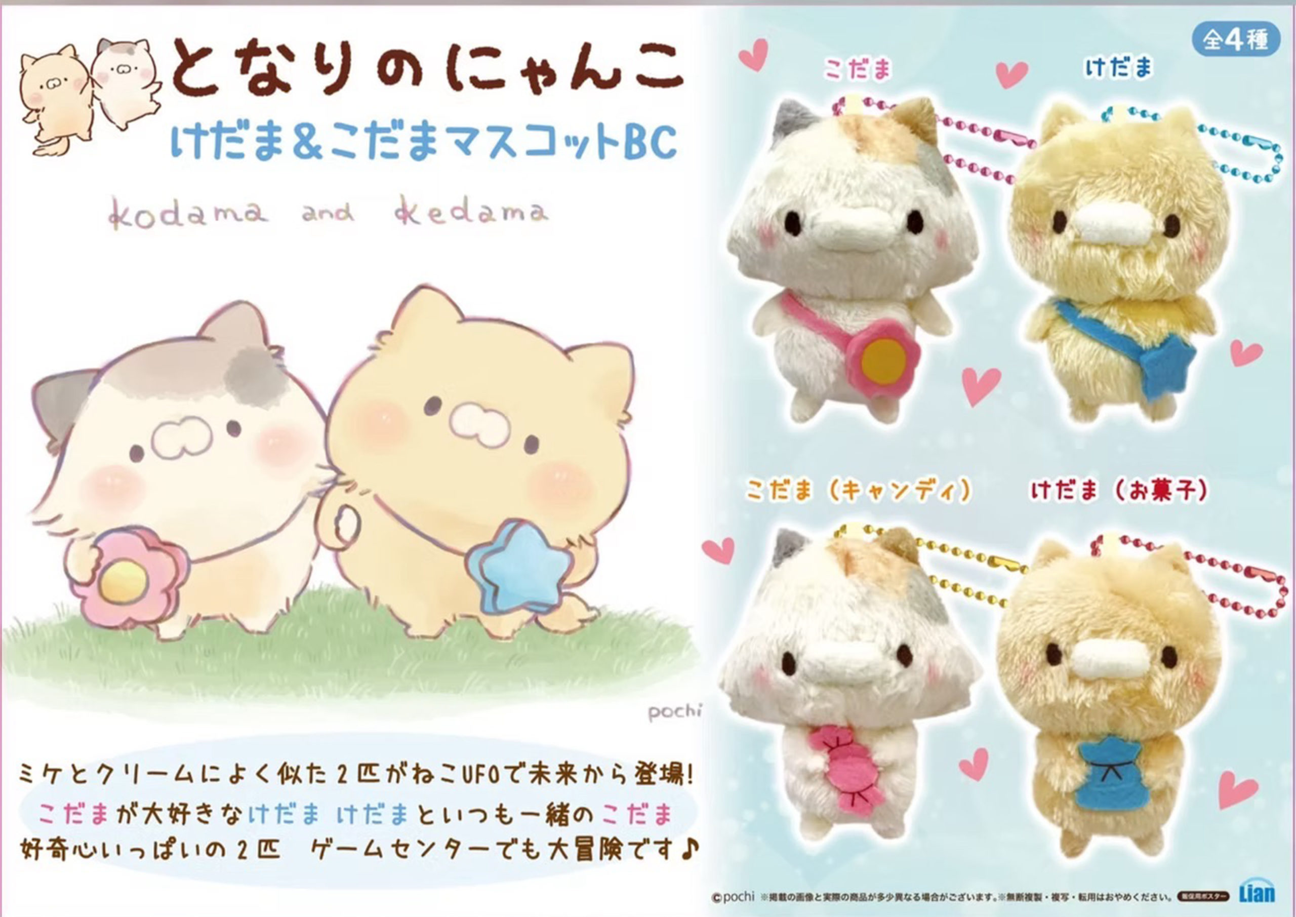 となりのにゃんこ